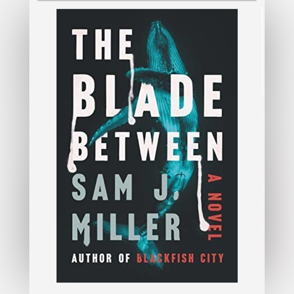 Blade Between book - Picture 1 of 4